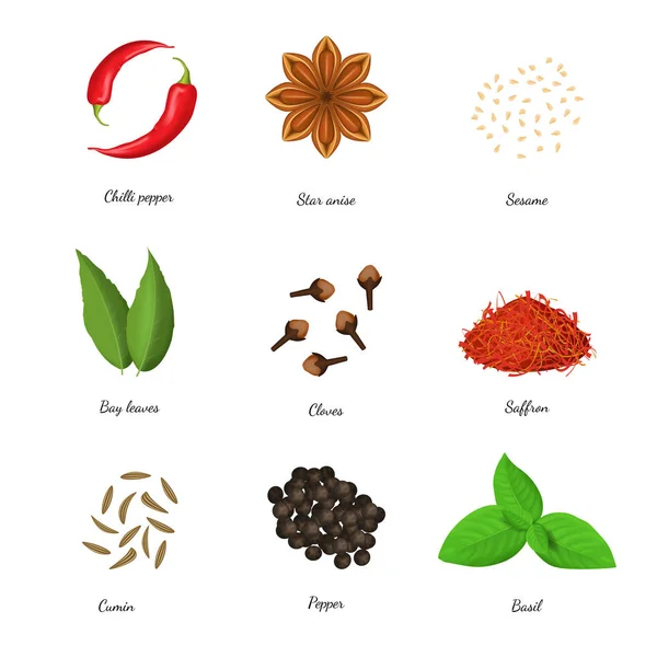 Realistic 3d Detailed Classic Spices Collection. Vector — Stock Vector