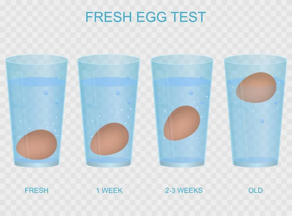 Realistico 3d dettagliate uovo fresco Concetto di prova Card Poster. Vettore — Vettoriale Stock