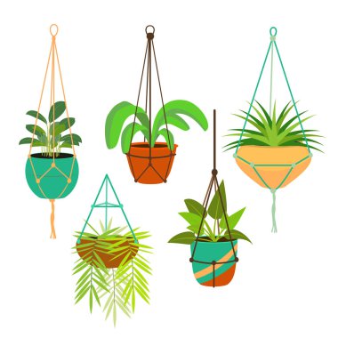 Çizgi film renk makrome askıları ev bitkiler için ayarlayın. Vektör