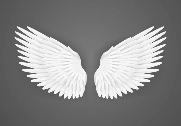 Realistické detailní 3d bílá křídla prázdné šablony Mockup. Vektor — Stockový vektor