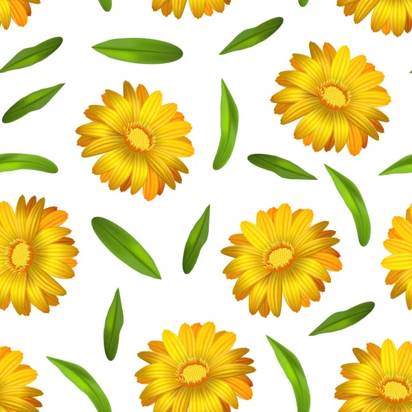 Трехцветковый желтый календула Marigold Flower Seamless Pattern. Вектор — стоковый вектор