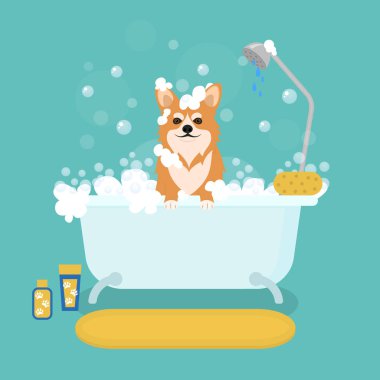 Banyo bakım hizmetleri karikatür köpek. Vektör
