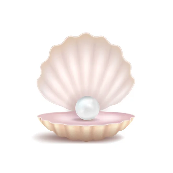 Realista 3d detallada perla y Shell. Vector — Archivo Imágenes Vectoriales
