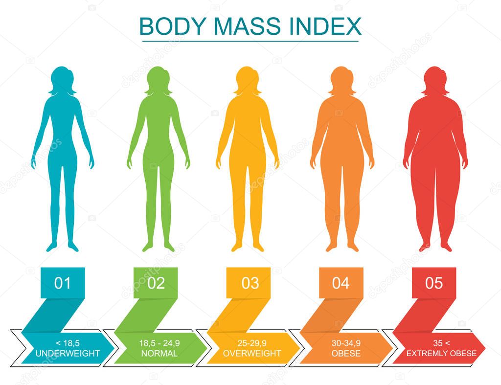 Cartoon Body Mass Index Infographics Concept Card Poster. Vector