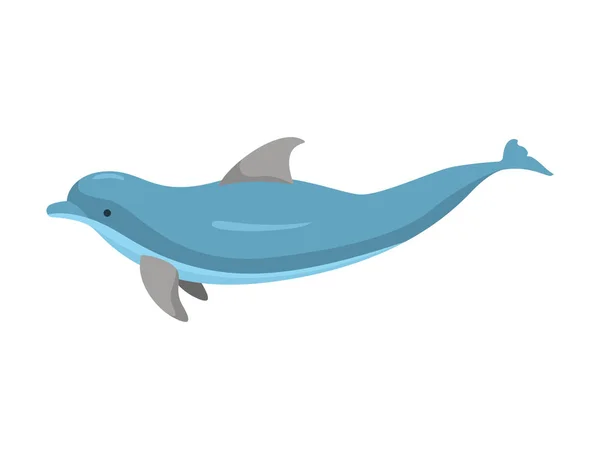 Cartoon Character Funny Dolphin on a White. Vector