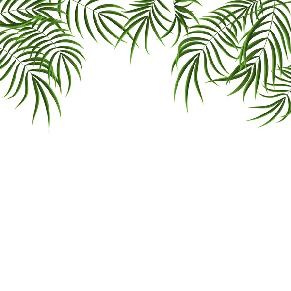 Realista detalhou 3d verde tropical palmeira fundo. Vetor — Vetor de Stock