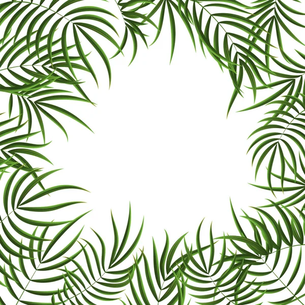 Realistische gedetailleerde 3D groene tropische Palm boom frame. Vector — Stockvector