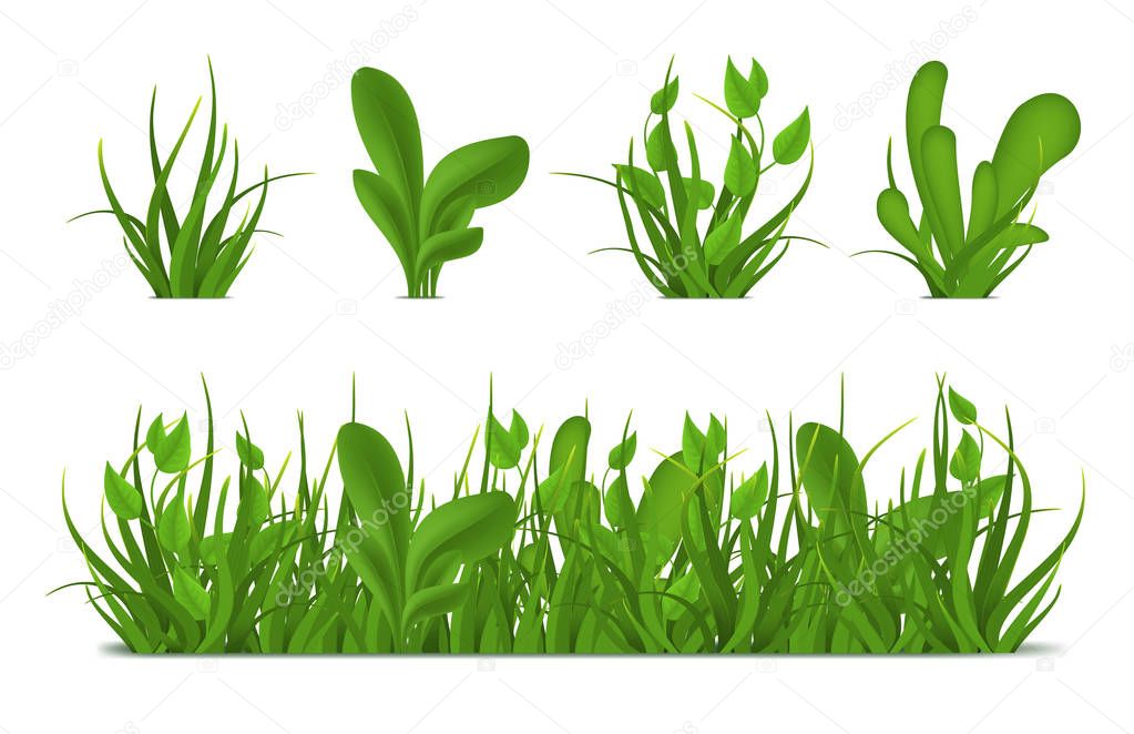 Realistic 3d Detailed Green Grass Set. Vector