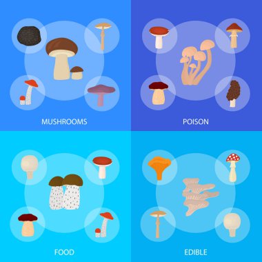 Karikatür Renk Zehirli ve Yenilebilir Mantar afiş seti. Vektör