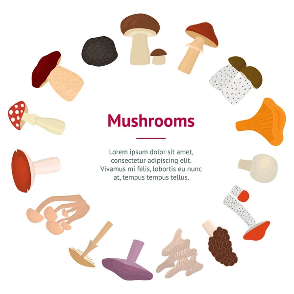 Tecknad färg giftiga och ätliga svampar banner kort cirkel. Vektor — Stock vektor