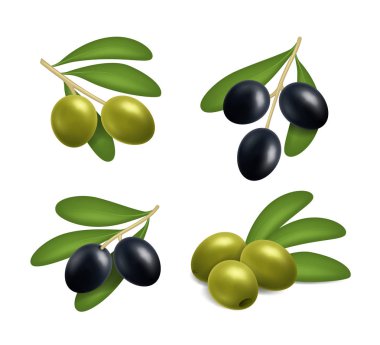 Gerçekçi 3D detaylı yeşil ve siyah zeytin seti. Vektör