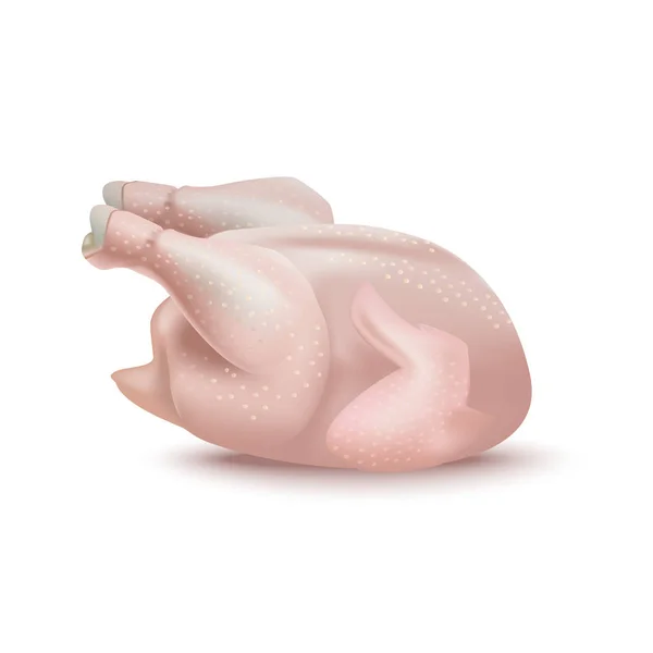 Realistické podrobné 3D čerstvé kuře celé. Vektorové — Stockový vektor