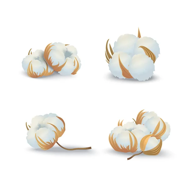 Realista detalladas flores de algodón 3d conjunto material natural. Vector — Archivo Imágenes Vectoriales