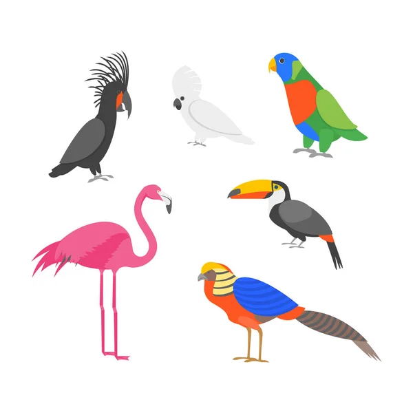 Conjunto de ícones de pássaros exóticos de cor de desenhos animados. Vetor — Vetor de Stock