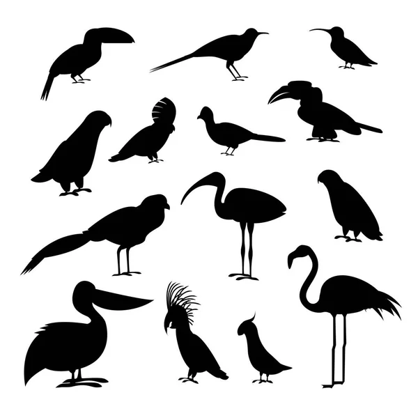 Conjunto de ícones de pássaros exóticos preto de silhueta de desenhos animados. Vetor — Vetor de Stock