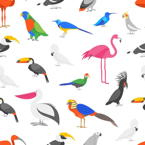 Cartoon Color Exotic Bird Seamless Pattern Background. Vector