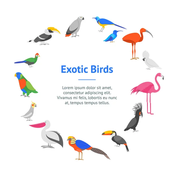 Círculo de cartão de bandeira de pássaro exótico de cor de desenhos animados. Vetor — Vetor de Stock