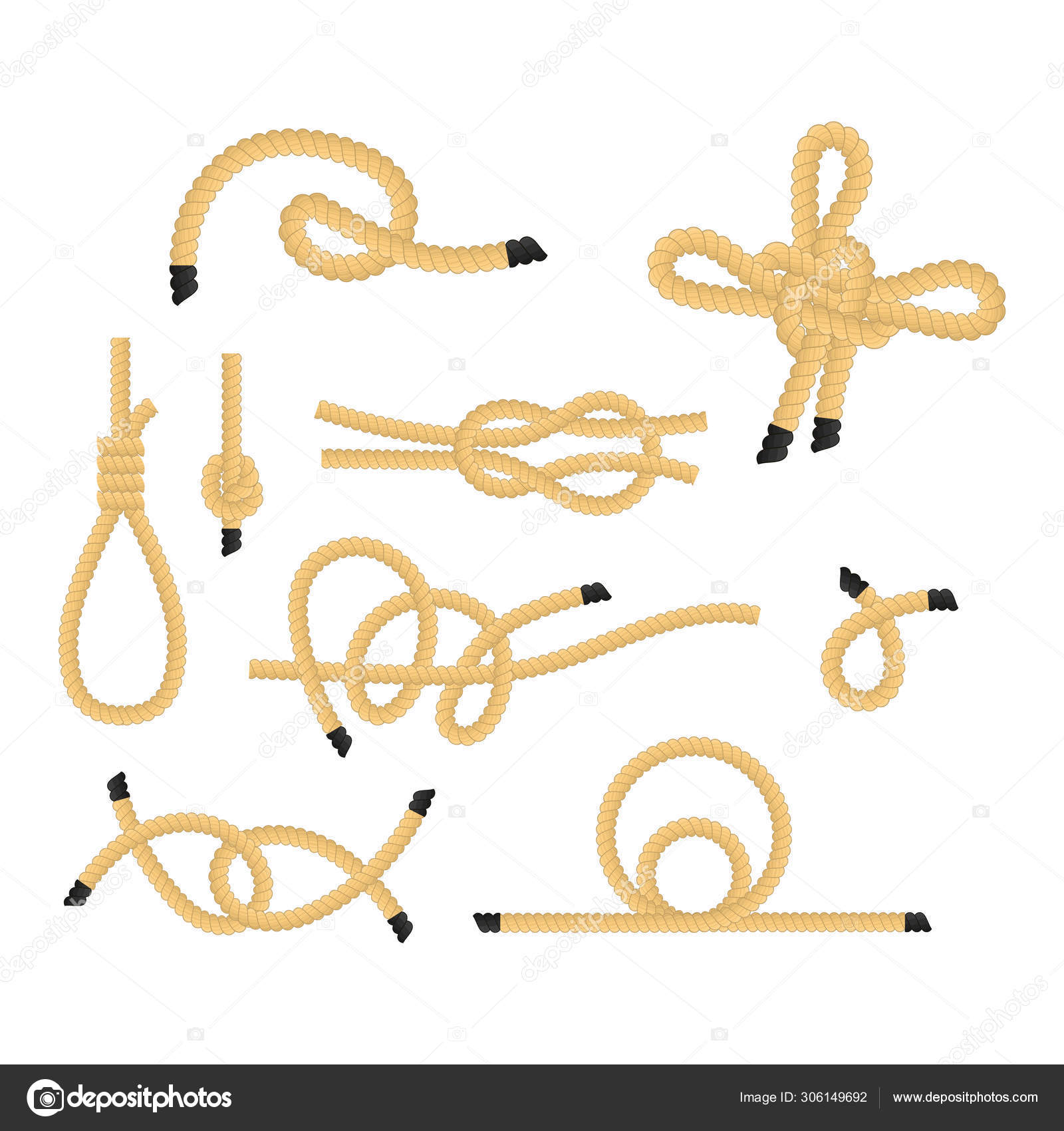 Set of nautical rope knots Royalty Free Vector Image