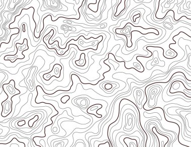 Topografik Harita Kavramı Siyah İnce Çizgi Kart Arka Plan. Vektör