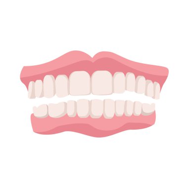 Gerçekçi Detaylı 3d Protezler Beyaz. Vektör