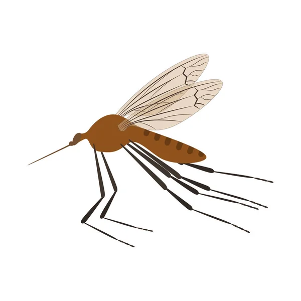 白の上に漫画の色蚊の昆虫。ベクトル — ストックベクタ