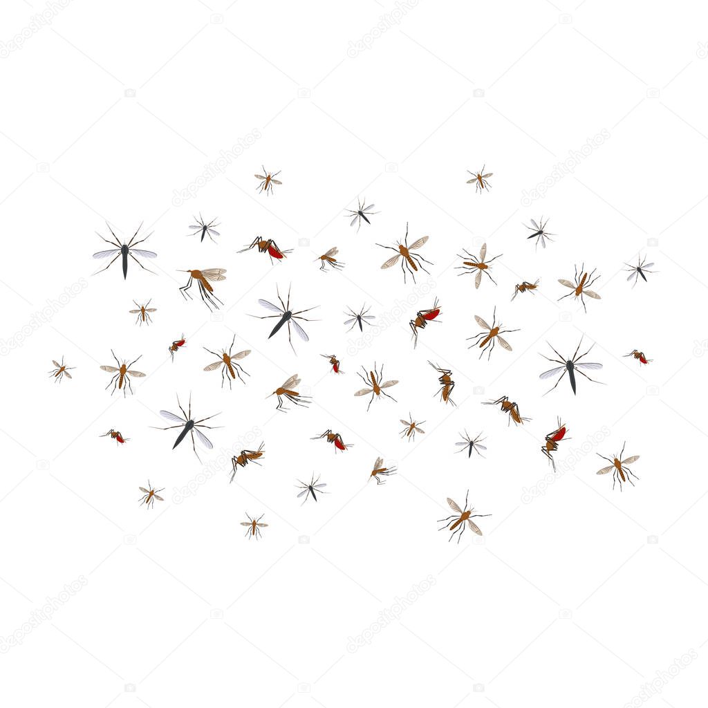 Cartoon Color Different Mosquito Flock Icon Set. Vector