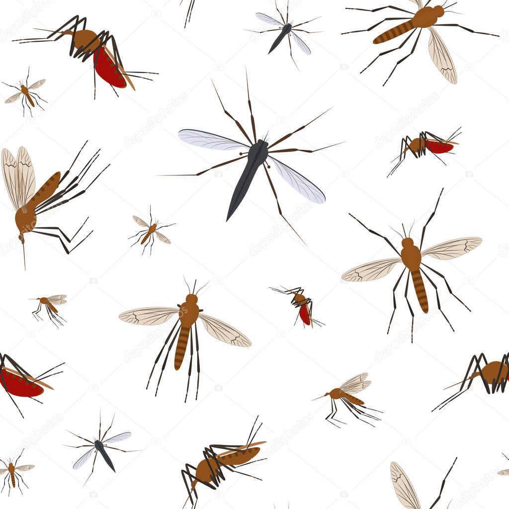 Cartoon Color Mosquito Insect Seamless Pattern Background . Vector