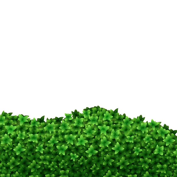 Realistisch Gedetailleerde 3D Green Hedge Achtergrond. Vector — Stockvector