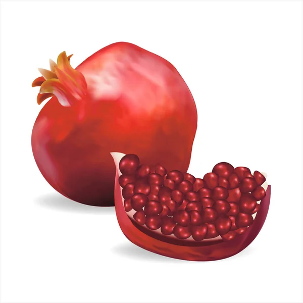 Realistic Detailed 3d Fresh Pomegranate Set. Vector — Stock Vector