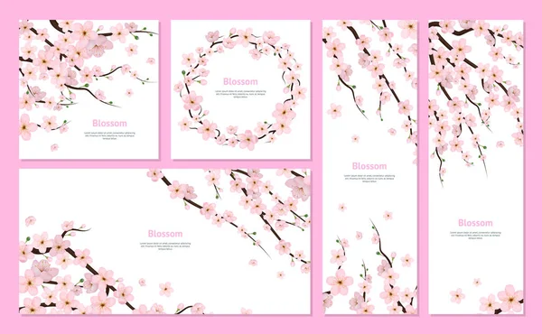 Realista 3d Detallado Blooming Cherry Blossom Card Set. Vector — Vector de stock