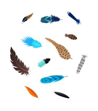 Gerçekçi 3d Detaylı Tüylü Kuş Yuvarlak Tasarım Şablonu. Vektör