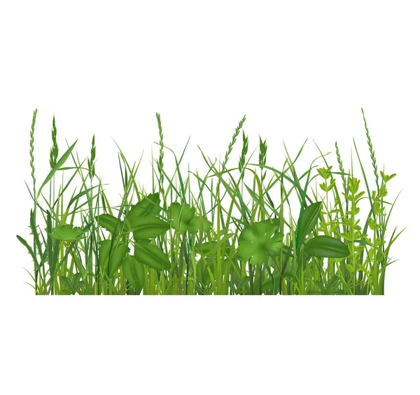 Realistic Detailed 3d Green Grass Composition. Vector — Stock Vector