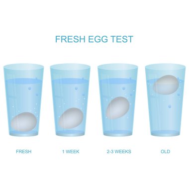 Gerçekçi 3d Detaylı Taze Yumurta Test Kavram Kartı Posteri. Vektör