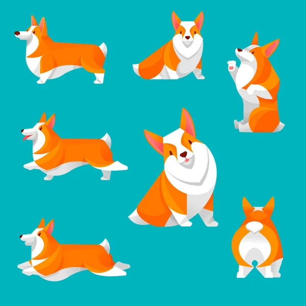 Cartoon Color Welsh Corgi Icons Set. Vektor - Stok Vektor