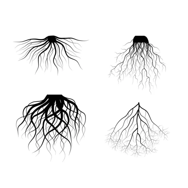 Silhuett svart träd rötter olika typer former Set. Vektor — Stock vektor