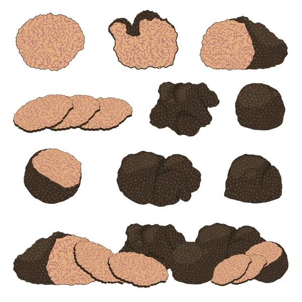 Cartoon Different Black Truffle Icon Set. Vector — Stock Vector