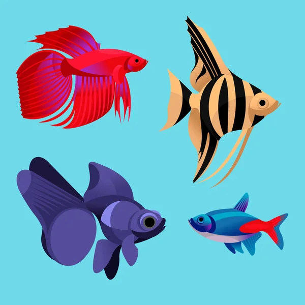 Cartoon Color Aqua Fish Icon Set. Вектор — стоковый вектор