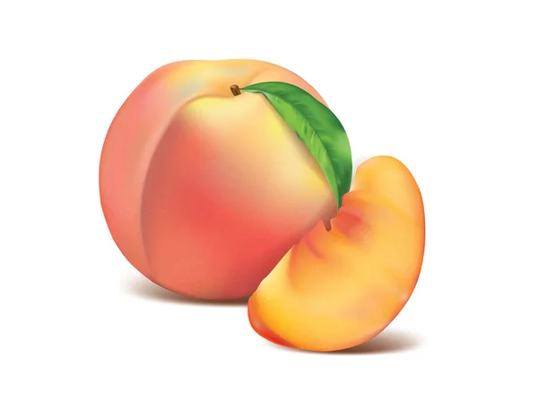 Realistic Detailed 3d Fresh Peach Set. Vector — Stock Vector