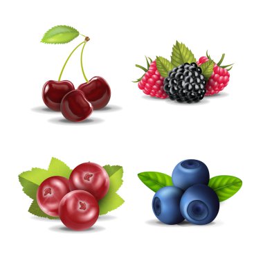 Gerçekçi Detaylı 3d Raw Berries Set. Vektör