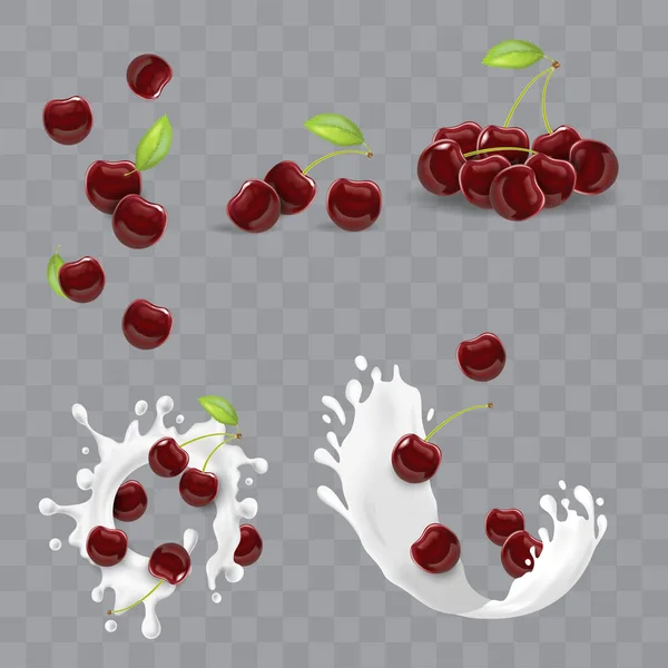 现实细节3D 《红樱桃》系列。B.病媒 — 图库矢量图片