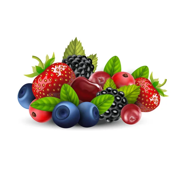 Realistische detaillierte 3D verschiedene Arten Raw Berries Set. Vektor — Stockvektor