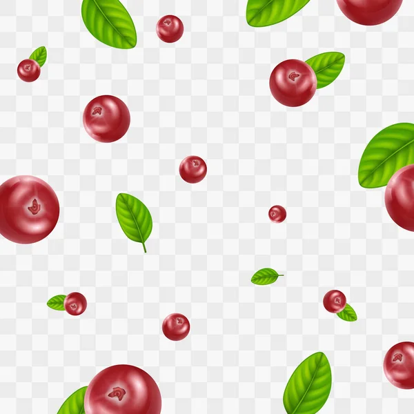 Realistic Detailed 3d Red Cranberry Berries Seamless Pattern Background. Vector — Stock Vector