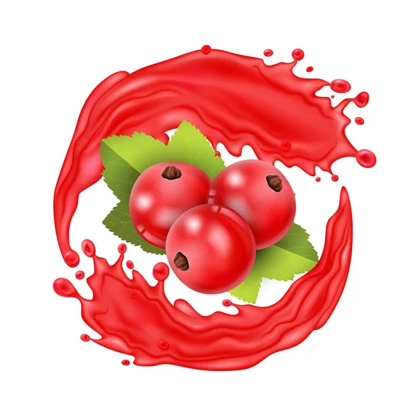 Realistische detaillierte 3D Rote Johannisbeeren mit Spritzsaft. Vektor — Stockvektor