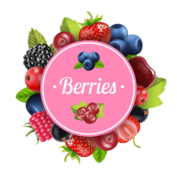 Realistic Detailed 3d Berry Round Design Template Banner. Vector