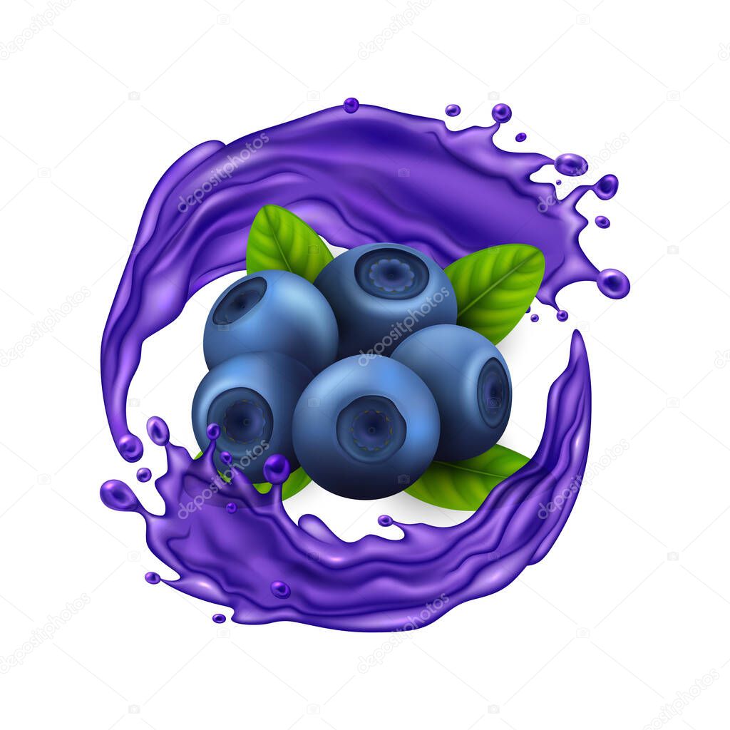 Realistic Detailed 3d Raw Blueberry Berries with Splash Juice. Vector