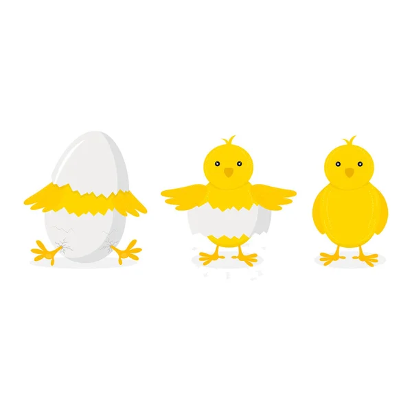 카툰치킨 해칭 (Cartoon Chicken Hatching Phases Set on a White). Vector — 스톡 벡터