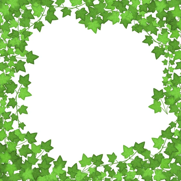 Ivy Green Leaves frame of grens. Vector — Stockvector