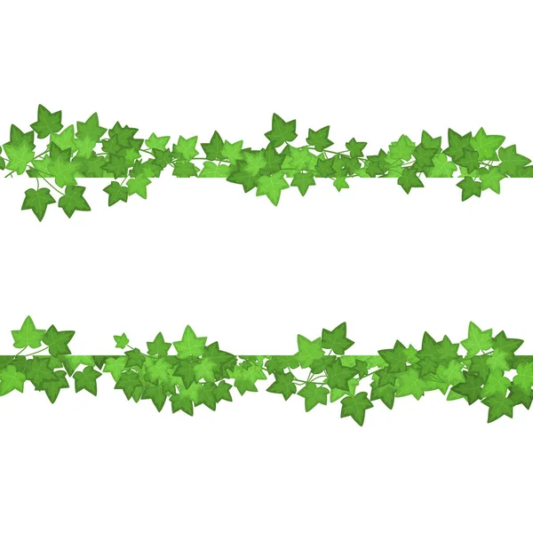 Set di diversi tipi di foglie verdi edera. Vettore — Vettoriale Stock