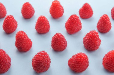 Mavi arka planda ahududu deseni. Düz yaz meyveleri - kırmızı ahududular. Yaratıcı minimalizm