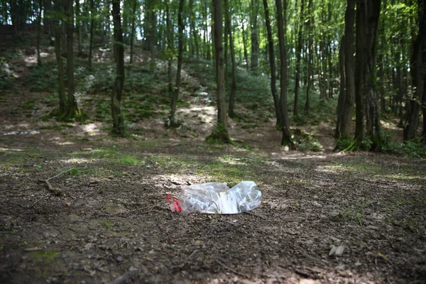 塑料瓶扔在树林里的垃圾上 — 图库照片